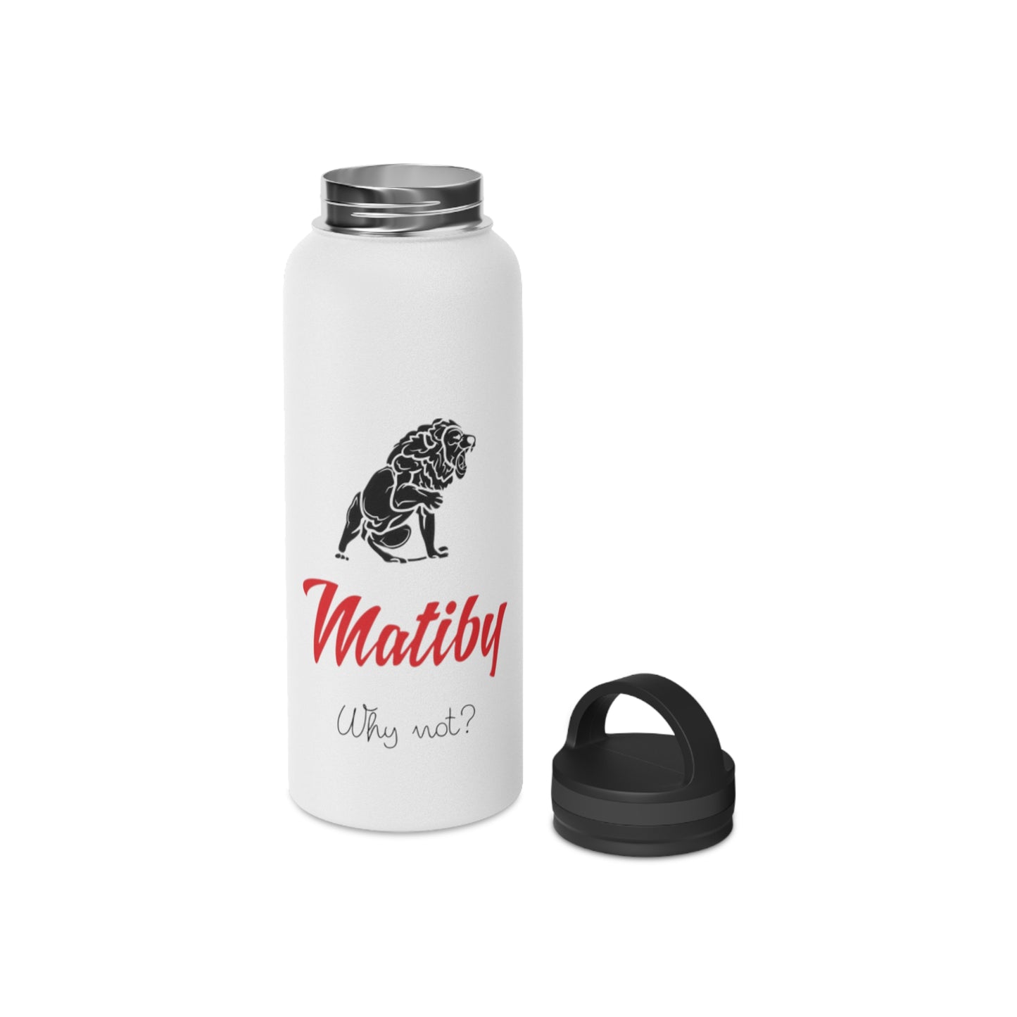 Matiby Stainless Steel Water Bottle, Handle Lid