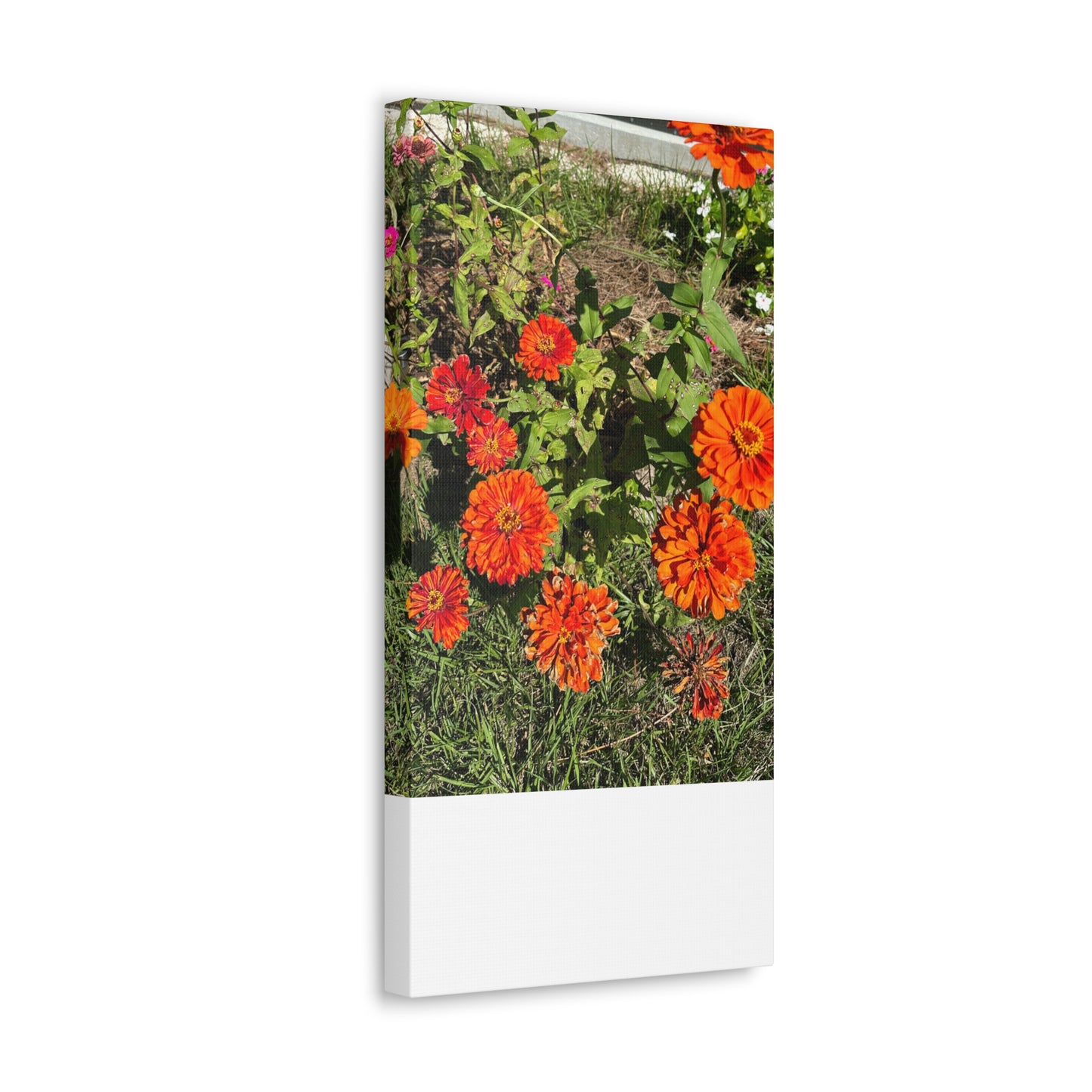 Matiby "Reals" Red Flowers Canvas Gallery Wraps