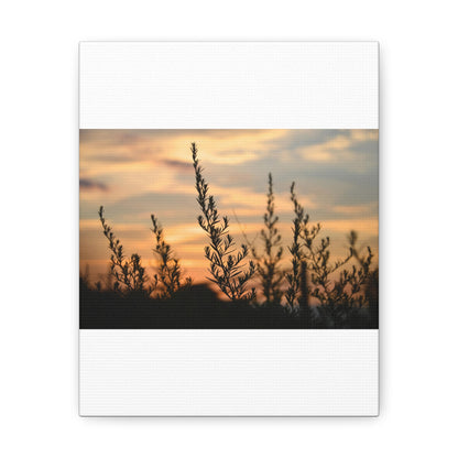 Nature Sunset Silhouette White Canvas Gallery Wraps