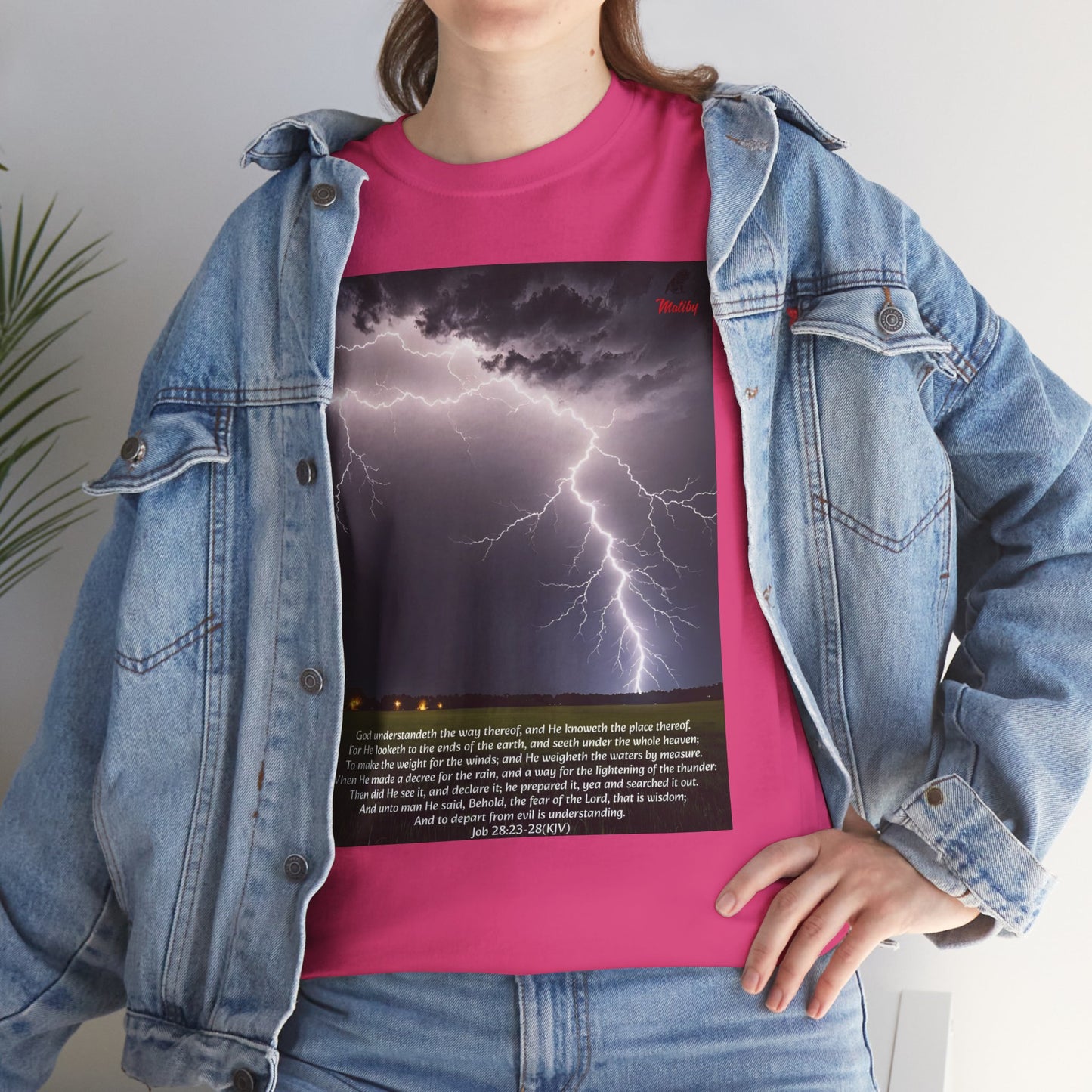 Lightning Style Fear of the Lord Unisex Heavy Cotton Tee