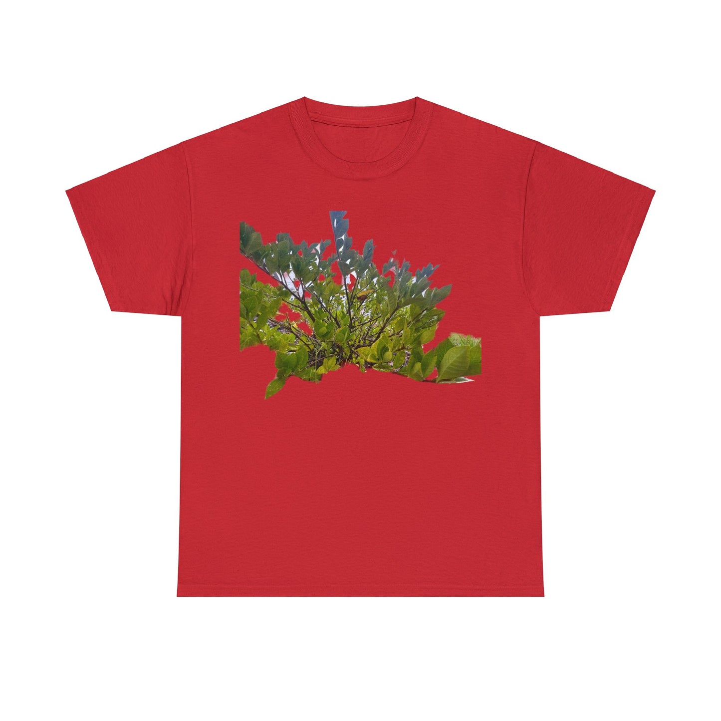 Matiby Plants Unisex Heavy Cotton Tee