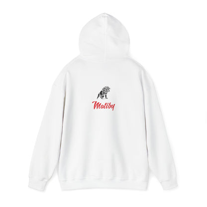 Beaks Unisex Heavy Blend™ Hooded Sweatshirt