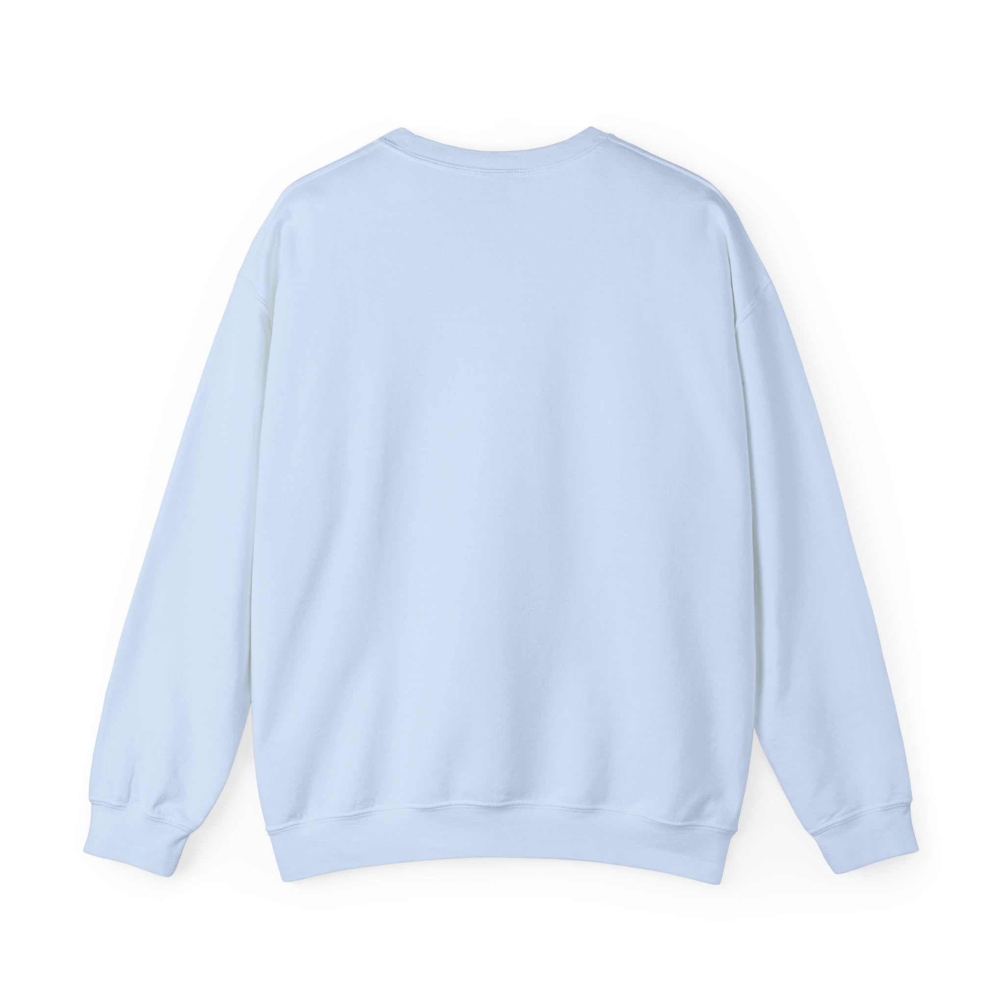 Coastal Bridge Drive Circle Crewneck Sweatshirt