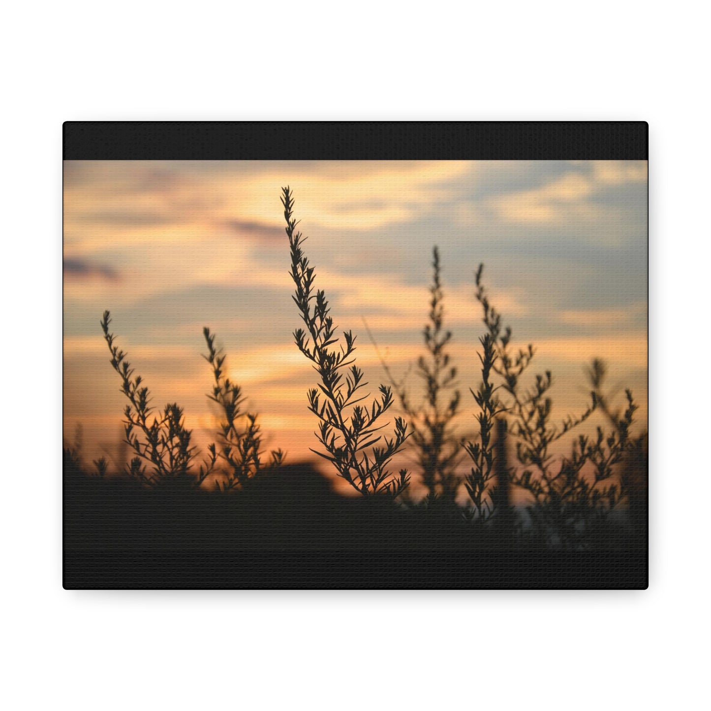 Nature Sunset Silhouette Black Canvas Gallery Wraps