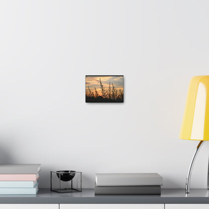 Nature Sunset Silhouette Black Canvas Gallery Wraps