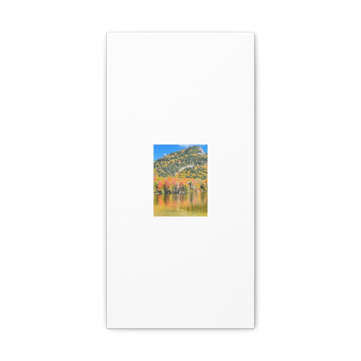 Nature Scenic White Canvas Gallery Wraps