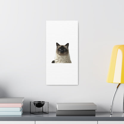 Cat White Canvas Gallery Wraps