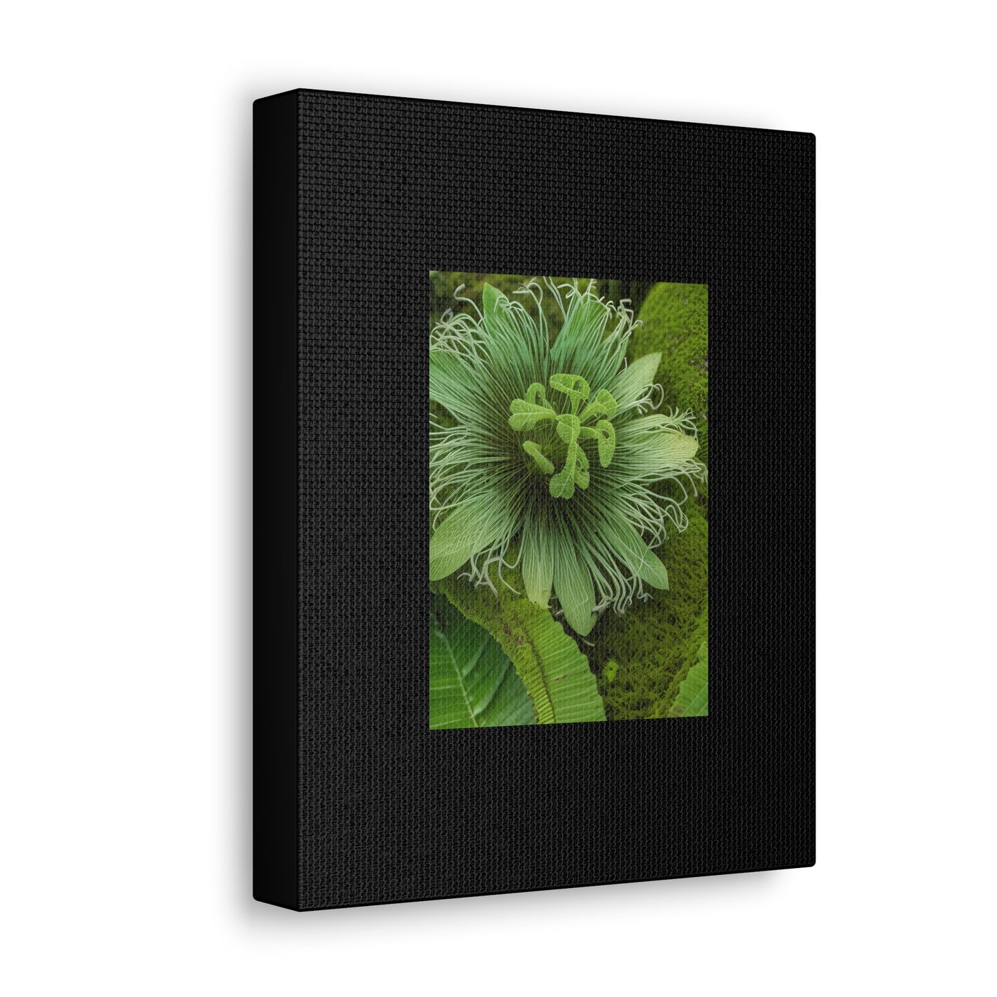 Artzy Green Flower Black Canvas Gallery Wraps