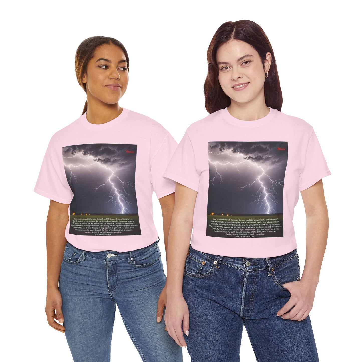 Lightning Style Fear of the Lord Unisex Heavy Cotton Tee