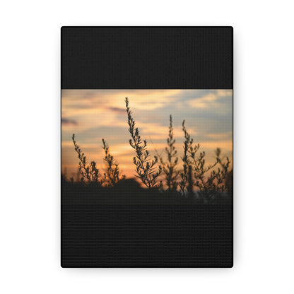 Nature Sunset Silhouette Black Canvas Gallery Wraps