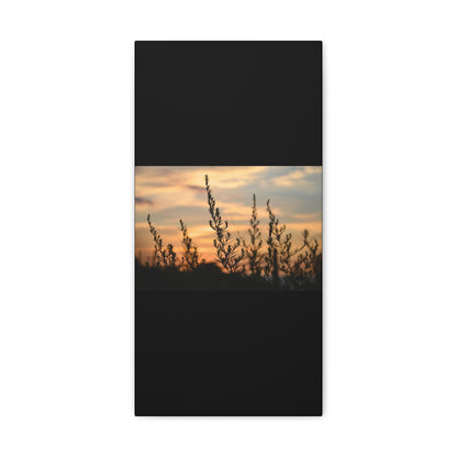 Nature Sunset Silhouette Black Canvas Gallery Wraps