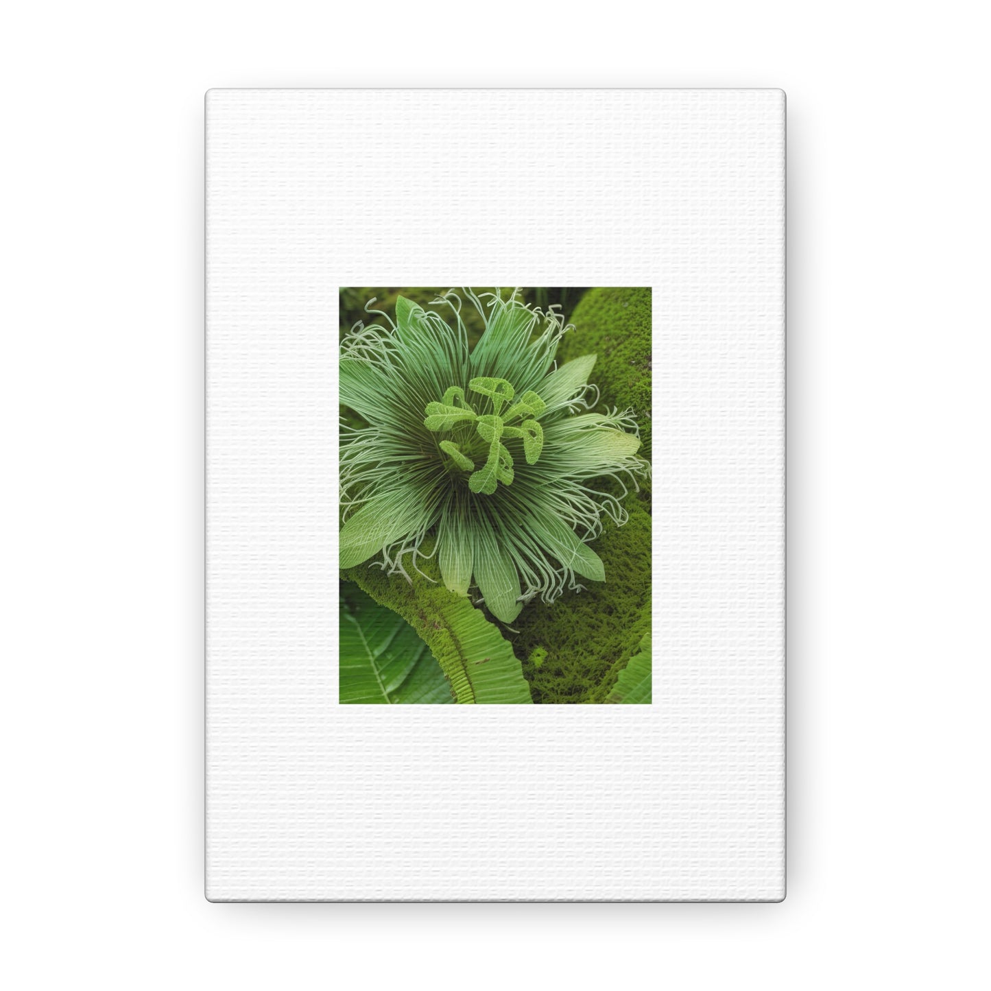 Artzy Green Flower White Canvas Gallery Wraps