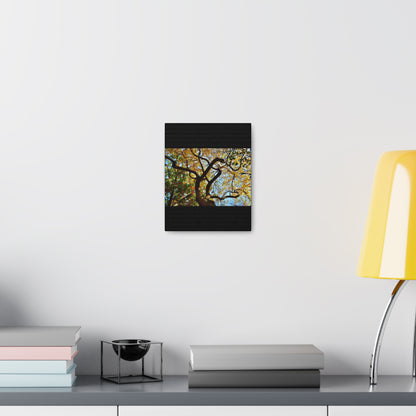 Fall Leaves Black Canvas Gallery Wraps