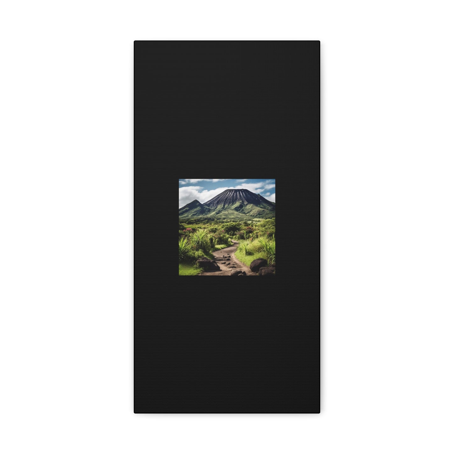 Scenic Black Canvas Gallery Wraps