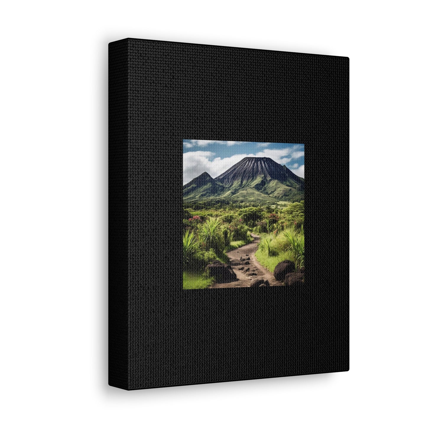 Scenic Black Canvas Gallery Wraps