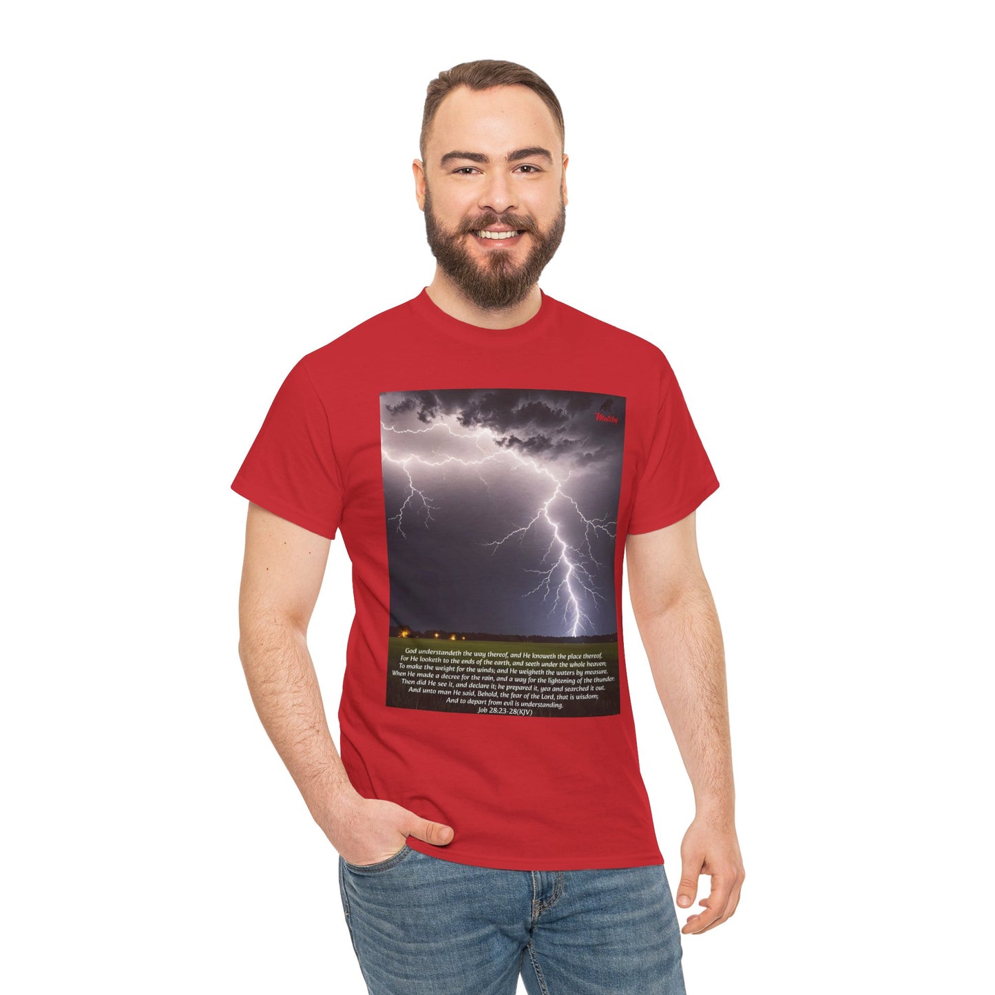 Lightning Style Fear of the Lord Unisex Heavy Cotton Tee