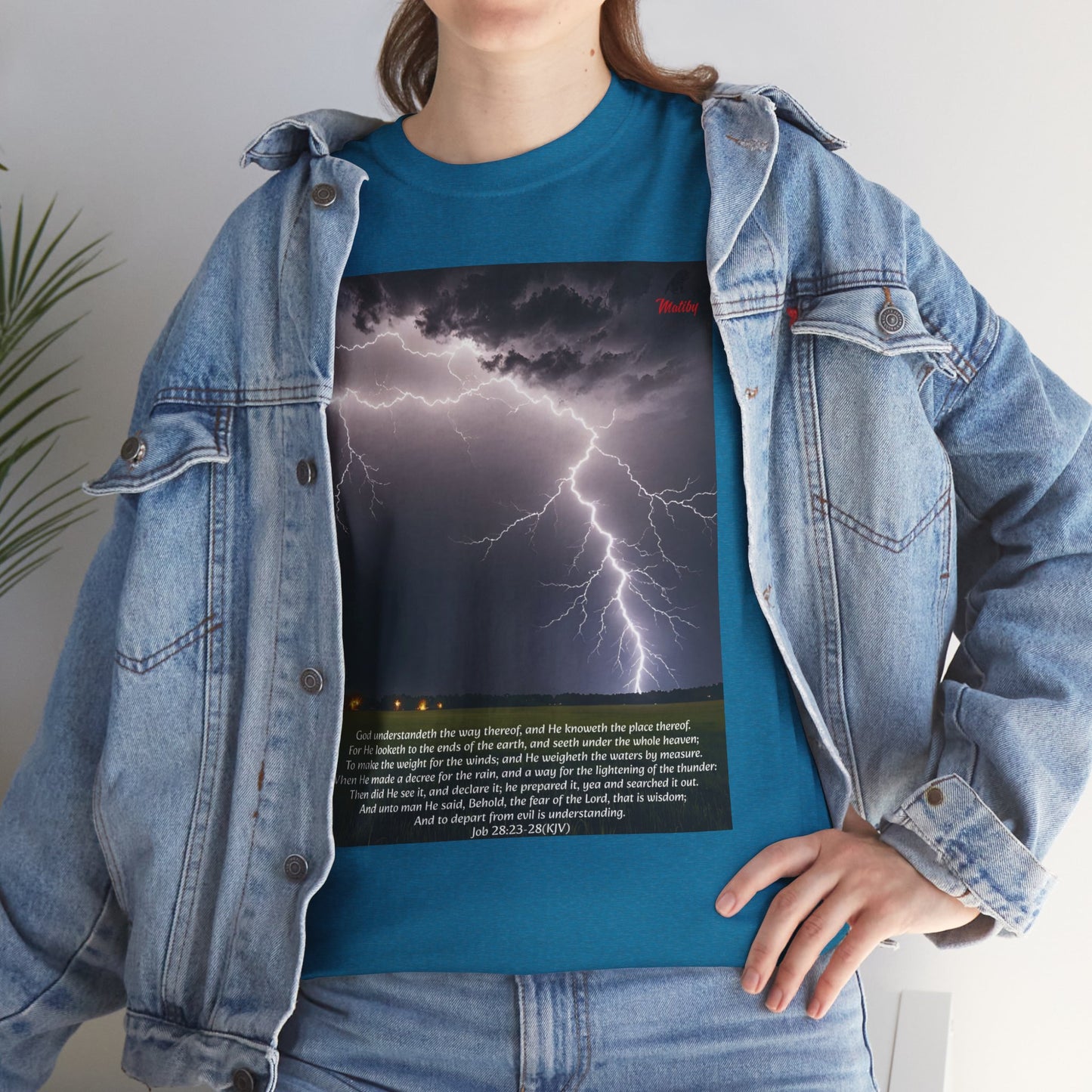 Lightning Style Fear of the Lord Unisex Heavy Cotton Tee