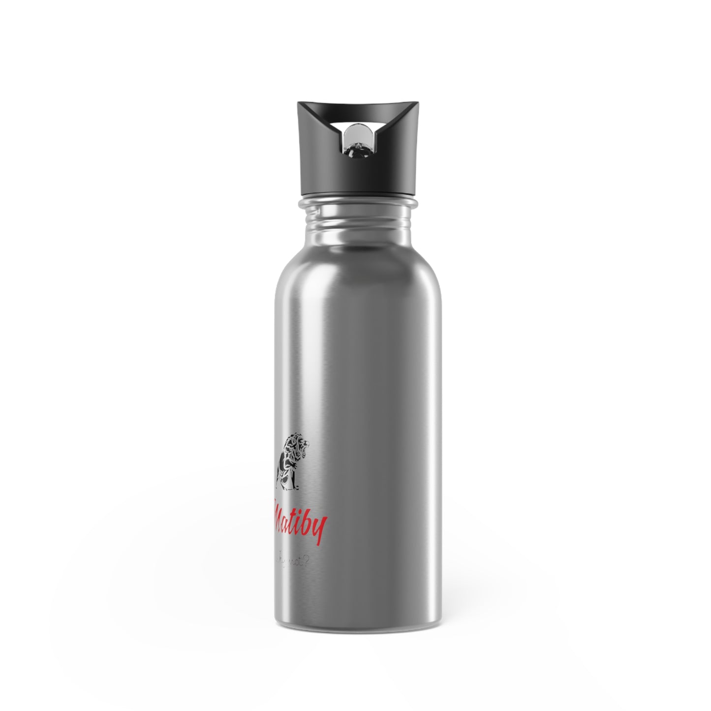 Artzy Stainless Steel Water Bottle With Straw, 20oz