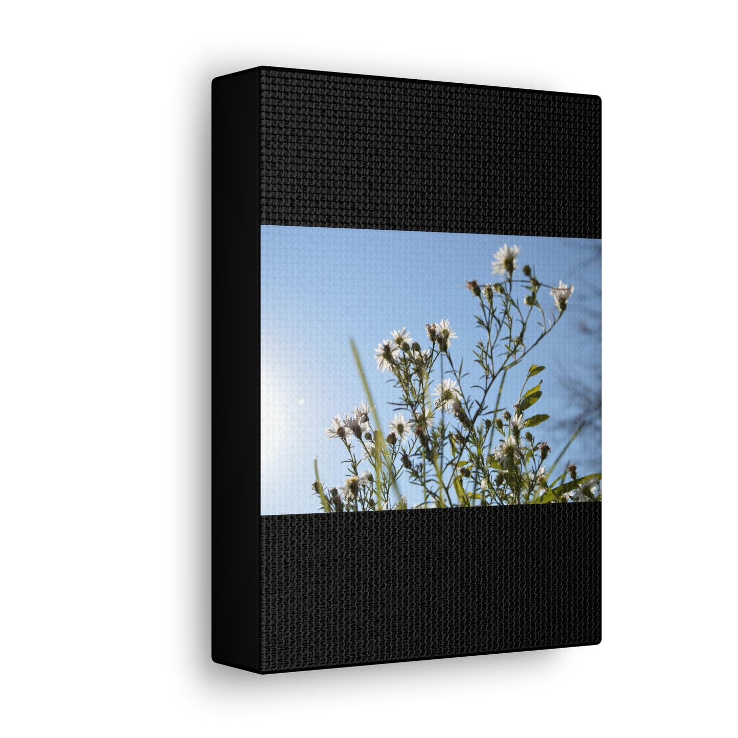 Flowery Black Canvas Gallery Wraps