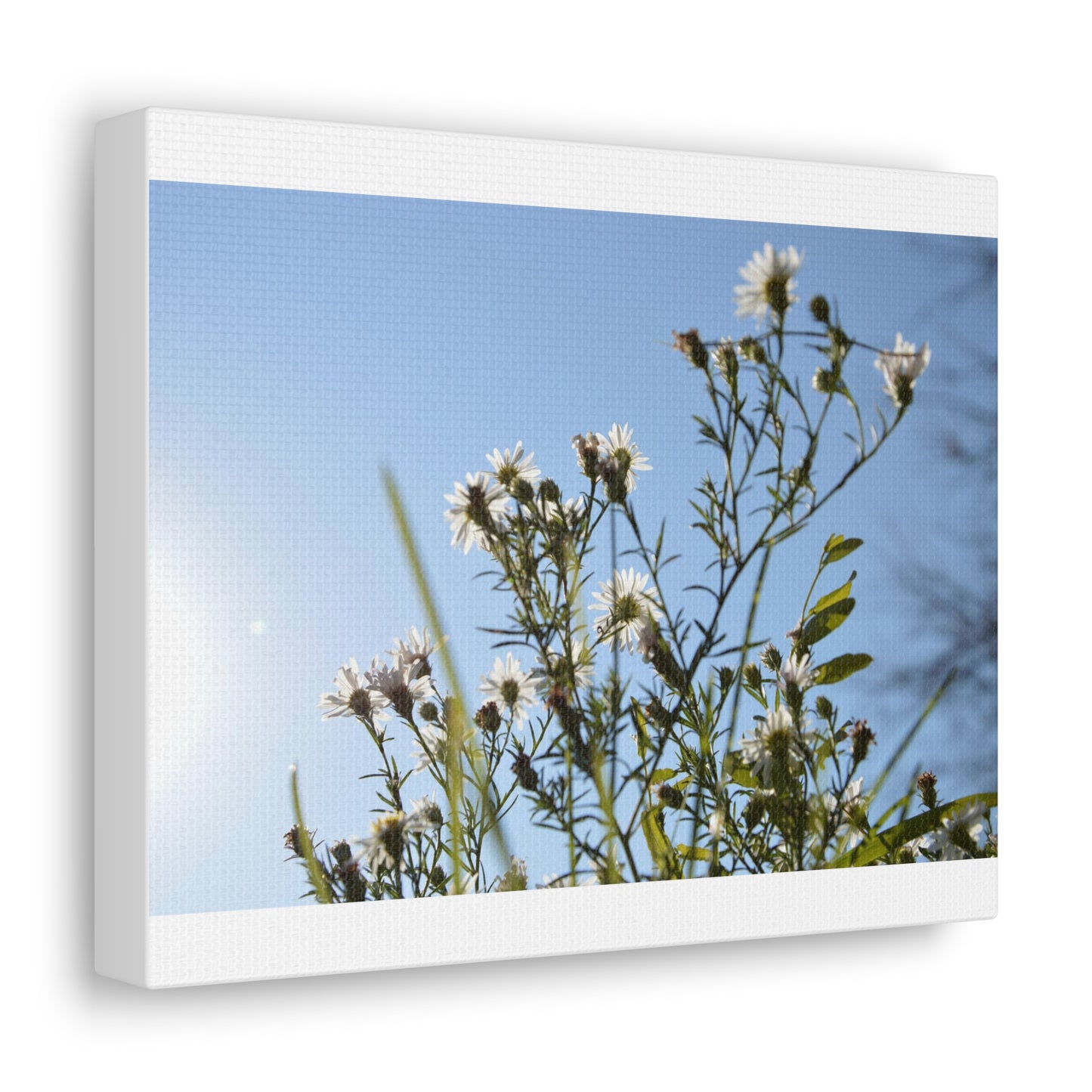 Flowery White Canvas Gallery Wraps