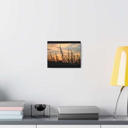 Nature Sunset Silhouette Black Canvas Gallery Wraps