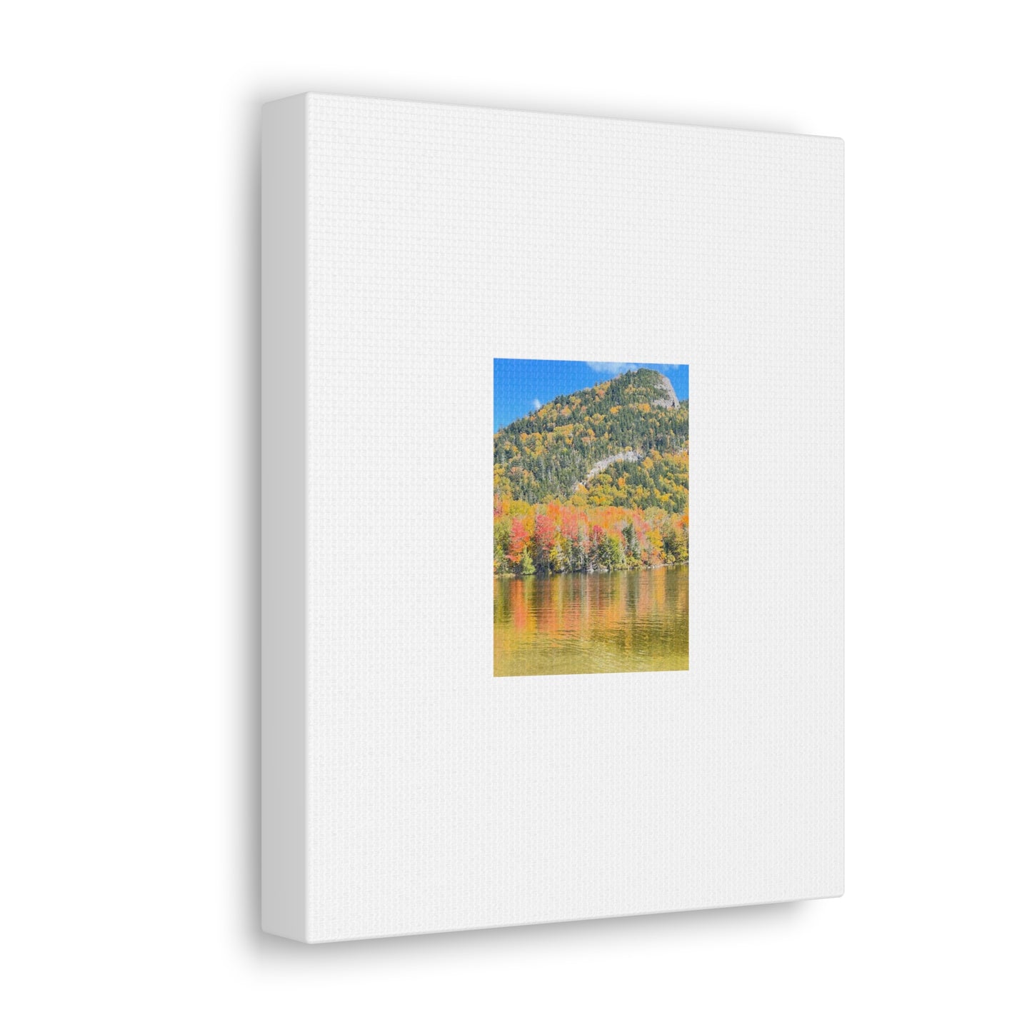 Nature Scenic White Canvas Gallery Wraps