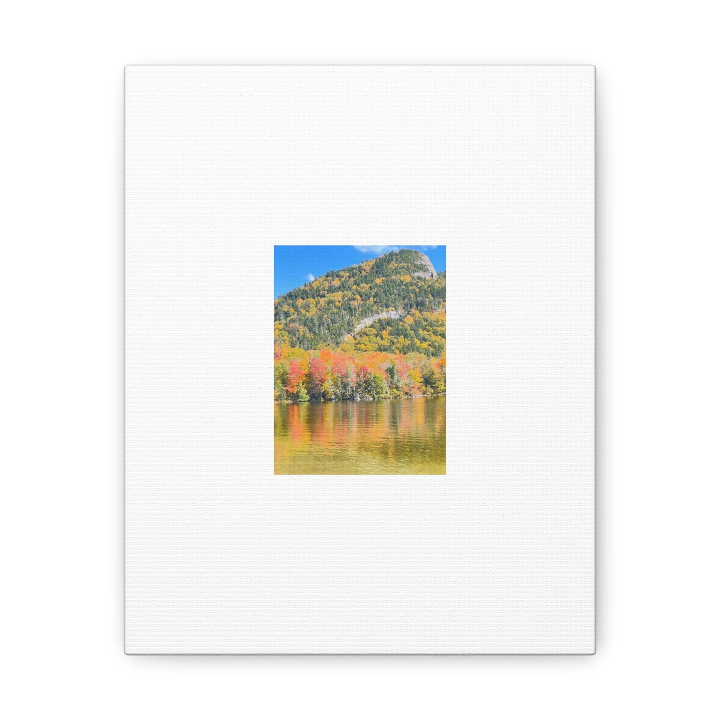 Nature Scenic White Canvas Gallery Wraps