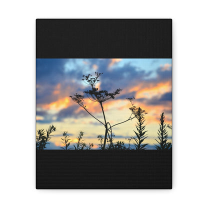 Nature Sunset Silhouette Black Canvas Gallery Wraps