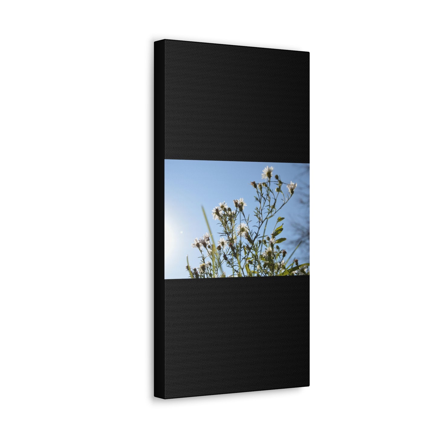 Flowery Black Canvas Gallery Wraps