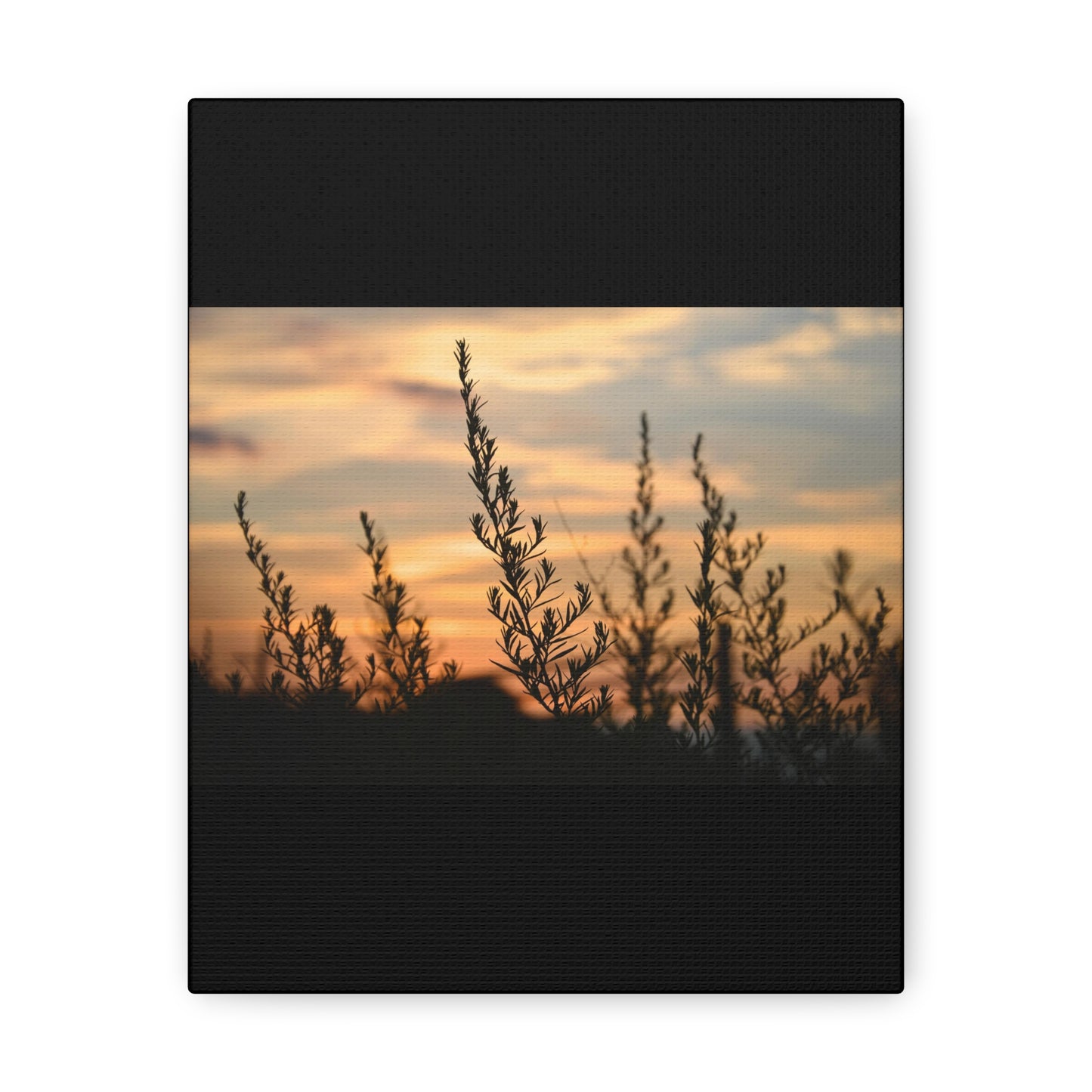 Nature Sunset Silhouette Black Canvas Gallery Wraps