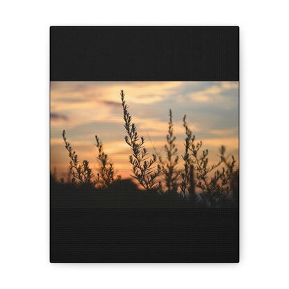 Nature Sunset Silhouette Black Canvas Gallery Wraps