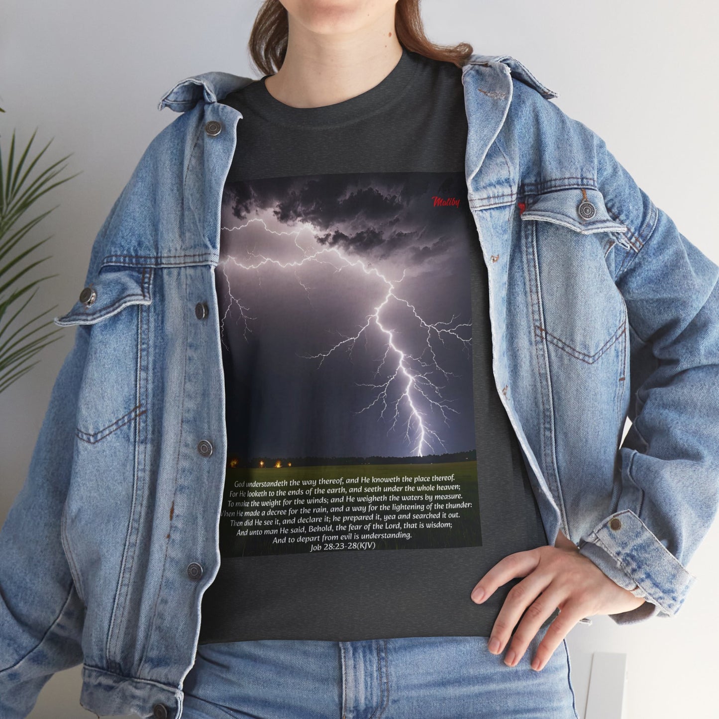 Lightning Style Fear of the Lord Unisex Heavy Cotton Tee