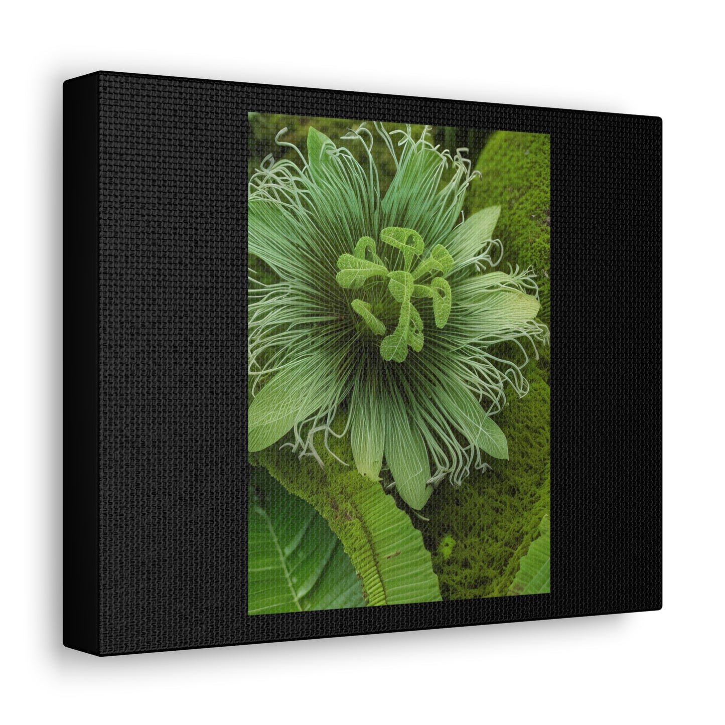 Artzy Green Flower Black Canvas Gallery Wraps