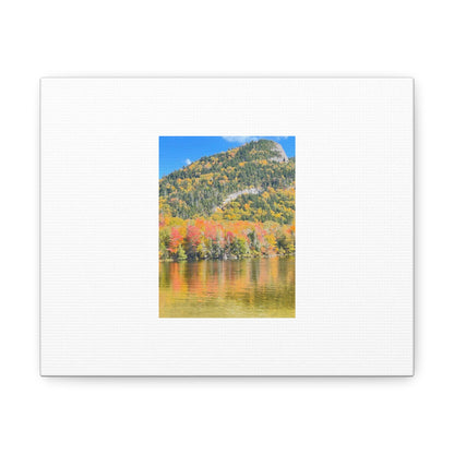 Nature Scenic White Canvas Gallery Wraps