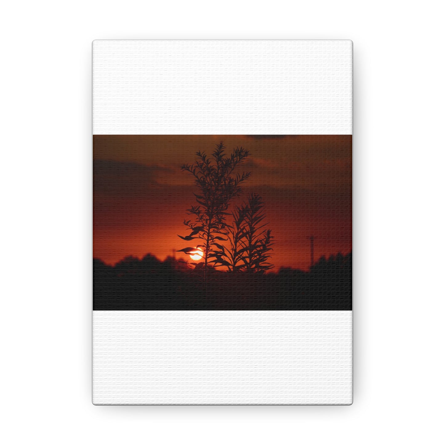 Nature Sunset Silhouette Black Canvas Gallery Wraps