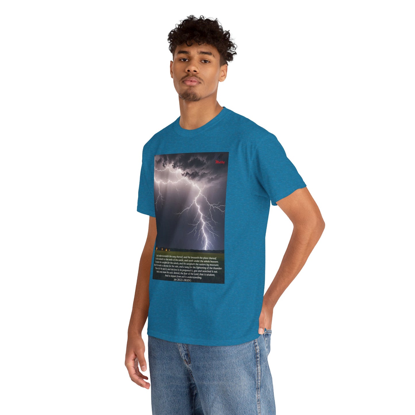 Lightning Style Fear of the Lord Unisex Heavy Cotton Tee