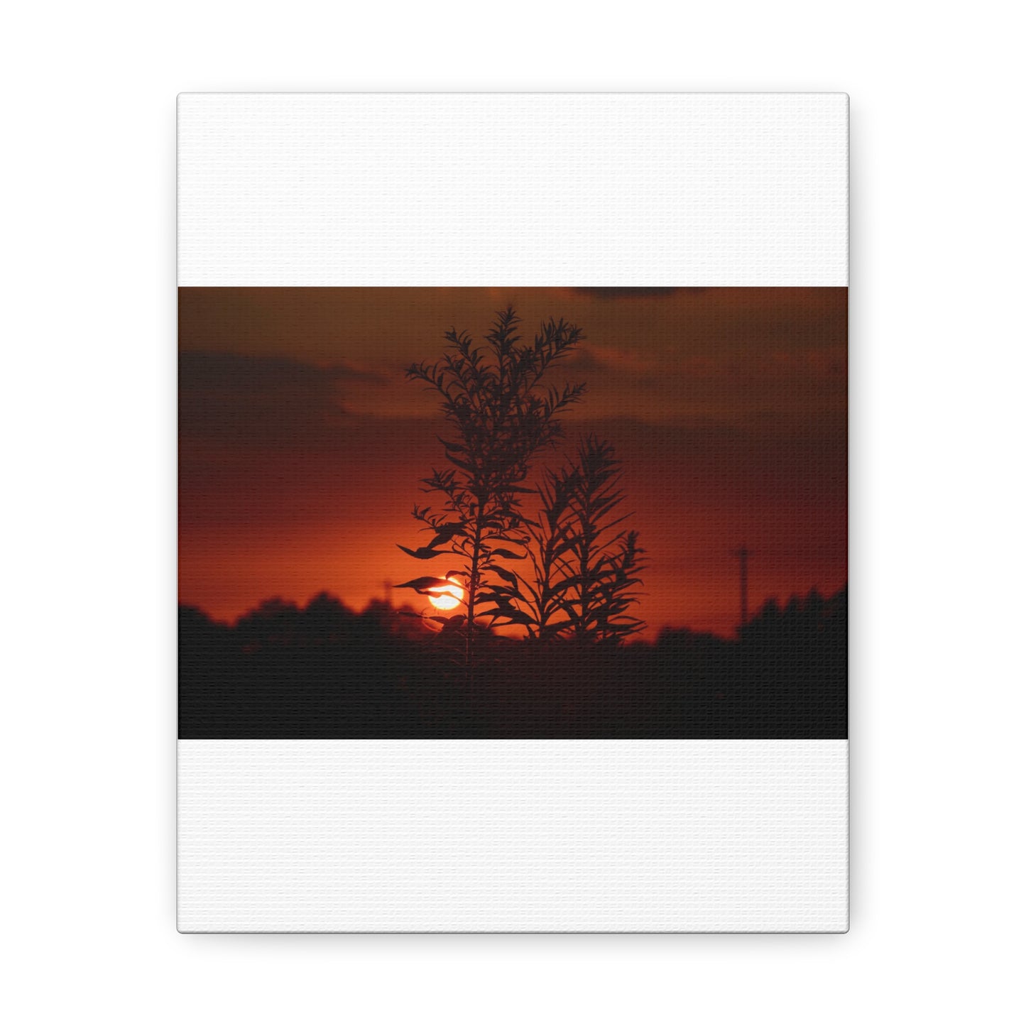 Nature Sunset Silhouette Black Canvas Gallery Wraps