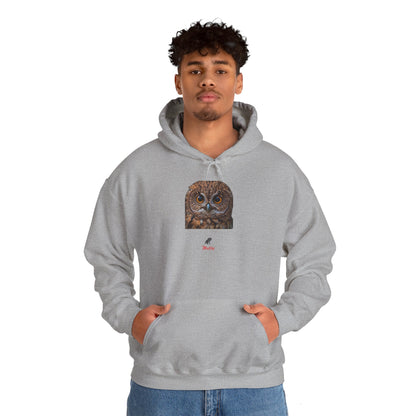 Owly Unisex Heavy Blend™ Hooded Sweatshirt