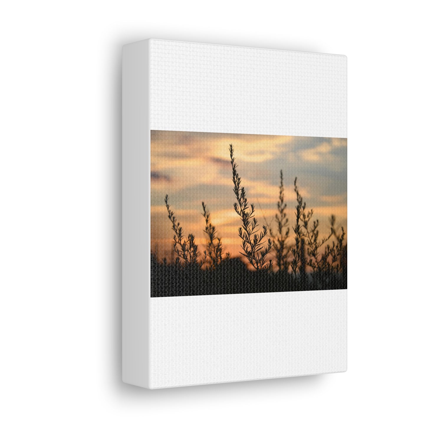 Nature Sunset Silhouette White Canvas Gallery Wraps