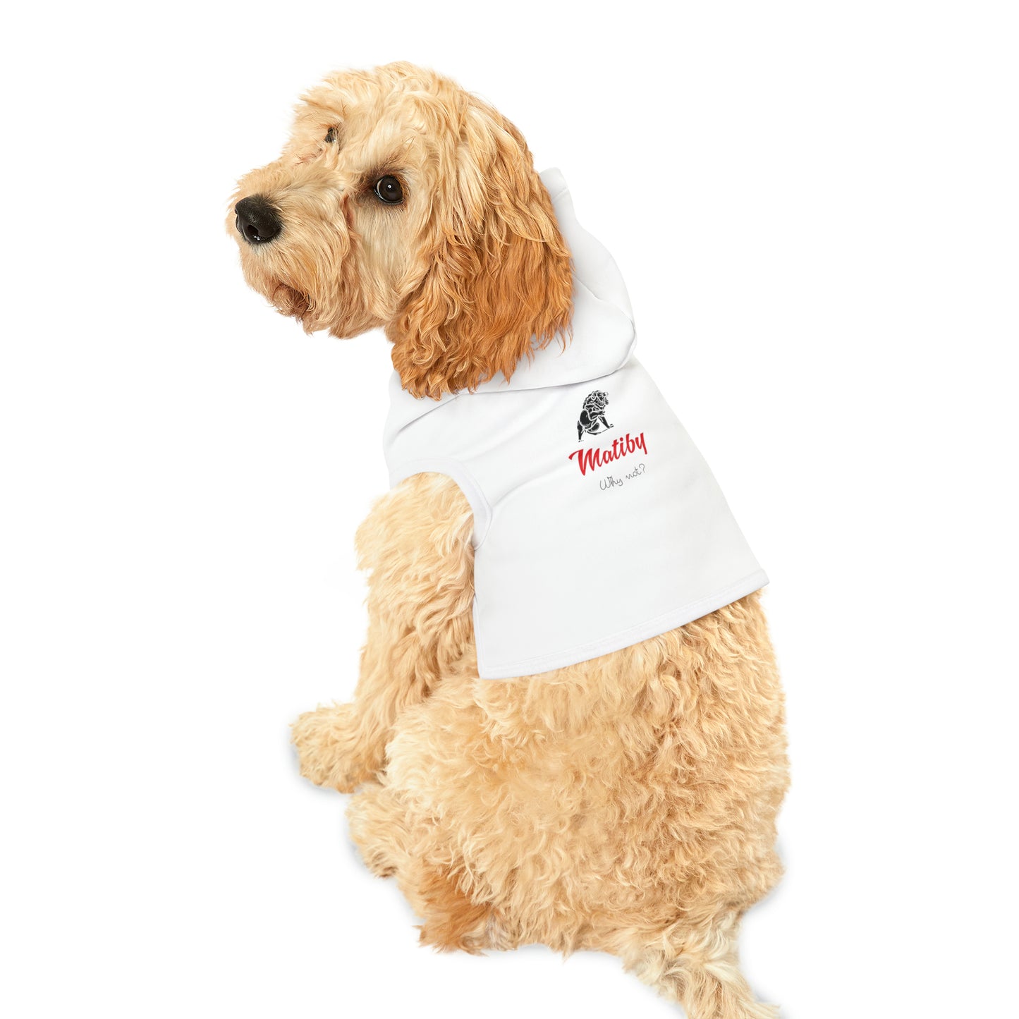 Matiby Pet Hoodie