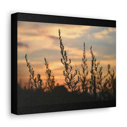 Nature Sunset Silhouette Black Canvas Gallery Wraps