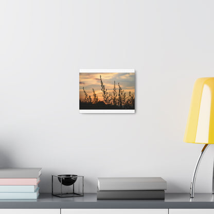 Nature Sunset Silhouette White Canvas Gallery Wraps