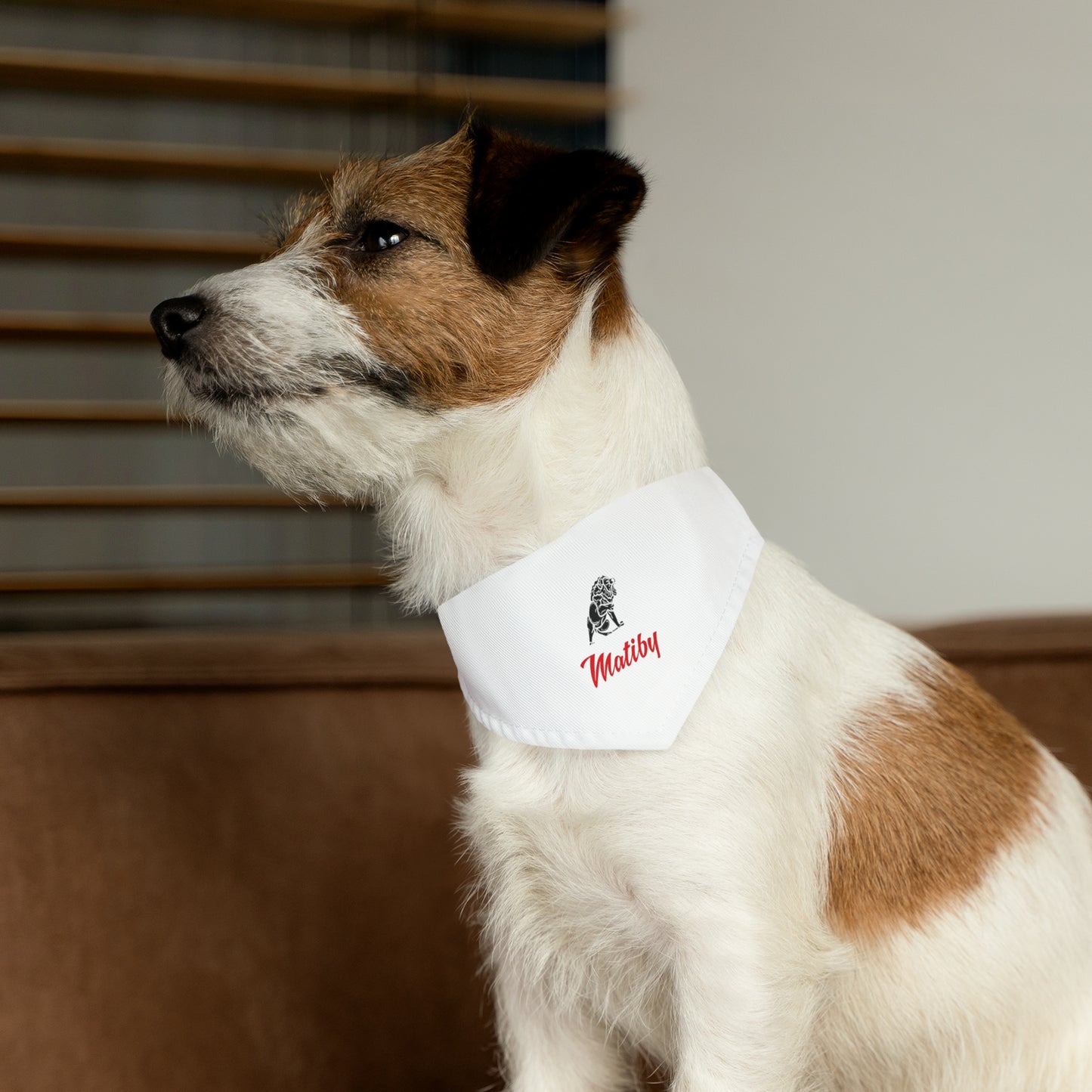 Matiby Pet Bandana Collar