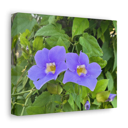 Matiby "Reals" Purple Flower Canvas Gallery Wraps