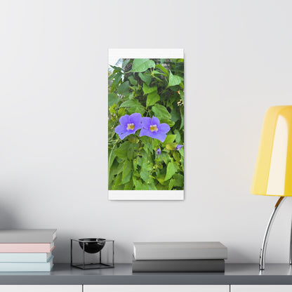 Matiby "Reals" Purple Flower Canvas Gallery Wraps