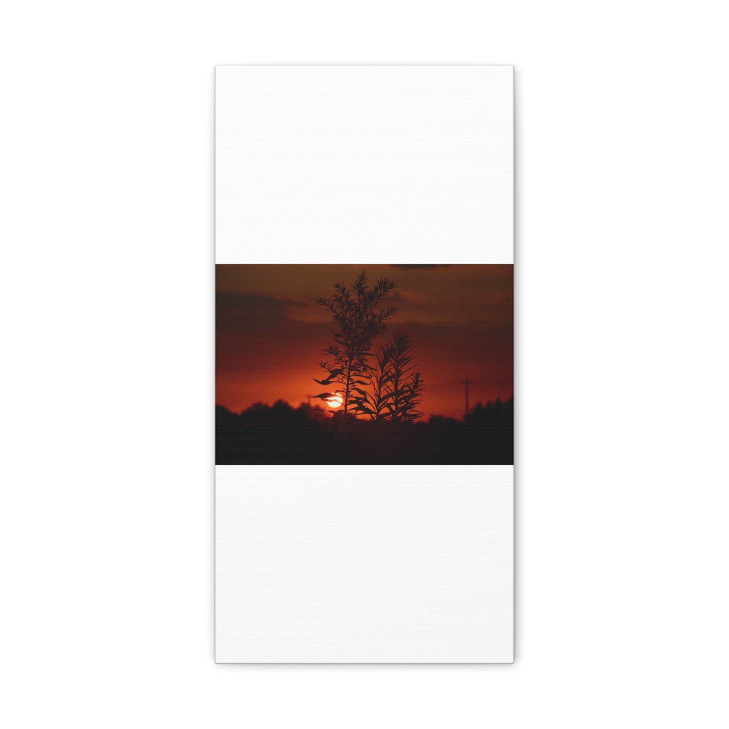 Nature Sunset Silhouette Black Canvas Gallery Wraps