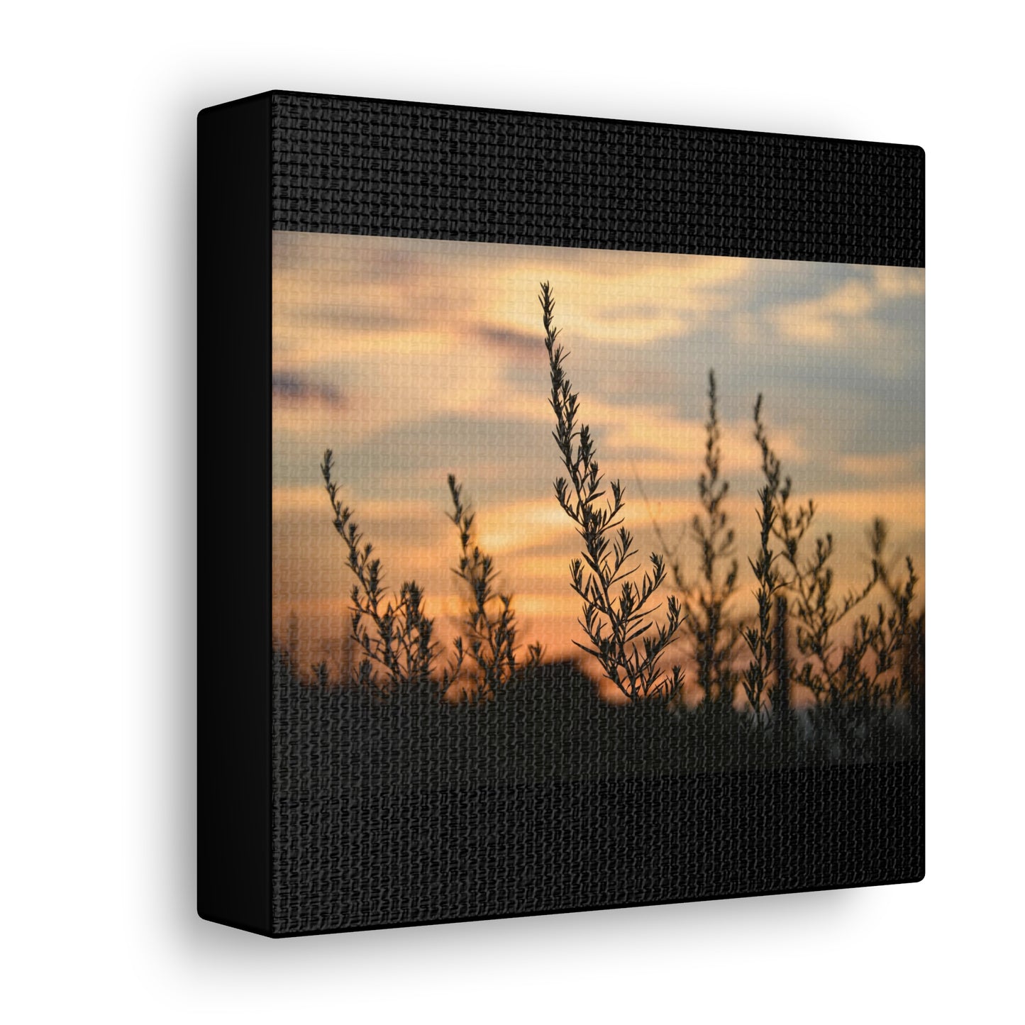 Nature Sunset Silhouette Black Canvas Gallery Wraps