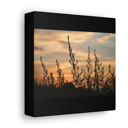 Nature Sunset Silhouette Black Canvas Gallery Wraps