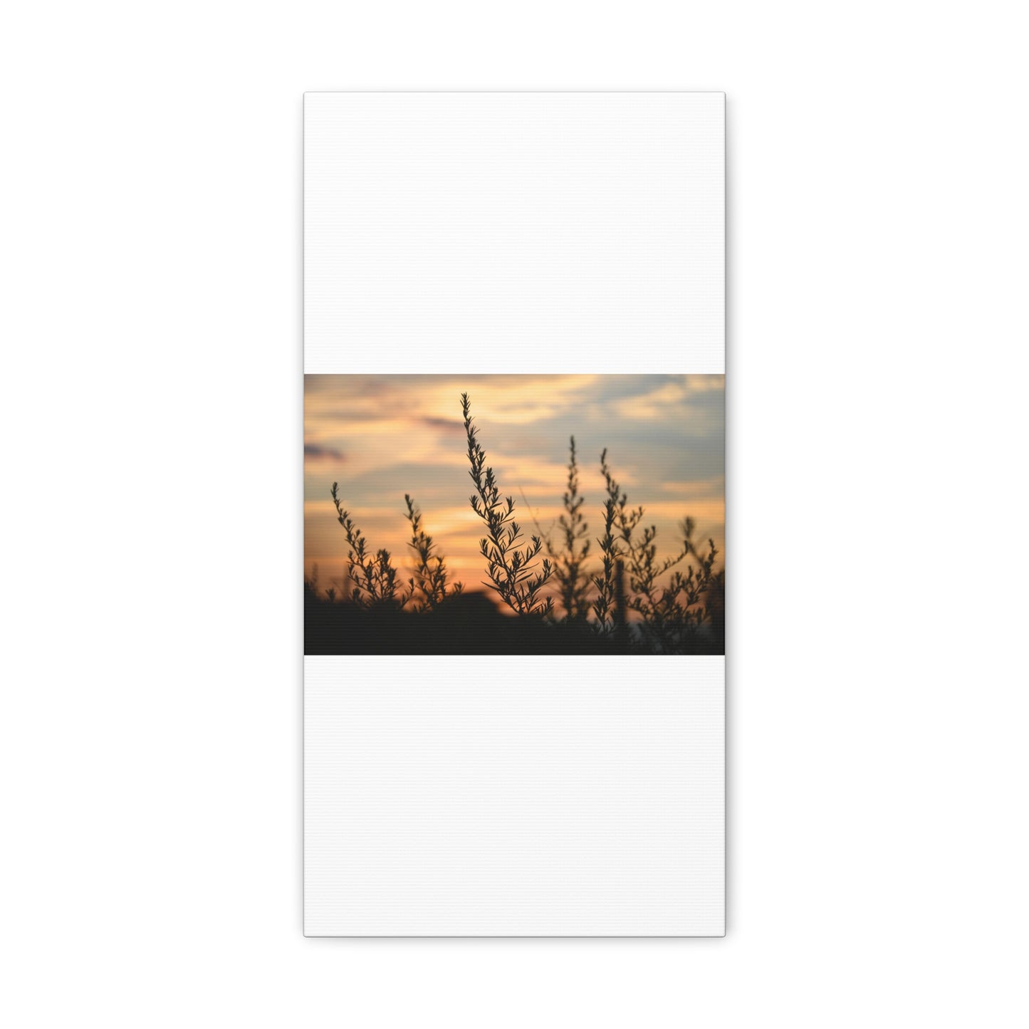 Nature Sunset Silhouette White Canvas Gallery Wraps