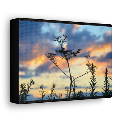 Nature Sunset Silhouette Black Canvas Gallery Wraps